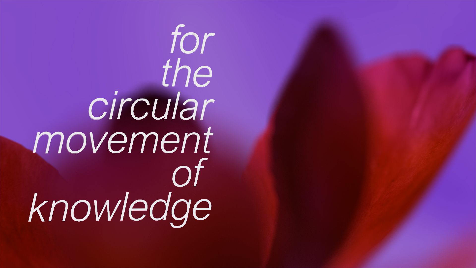 for the circular movement of knowledge ~   Feras Shaheen and Amir Sabra