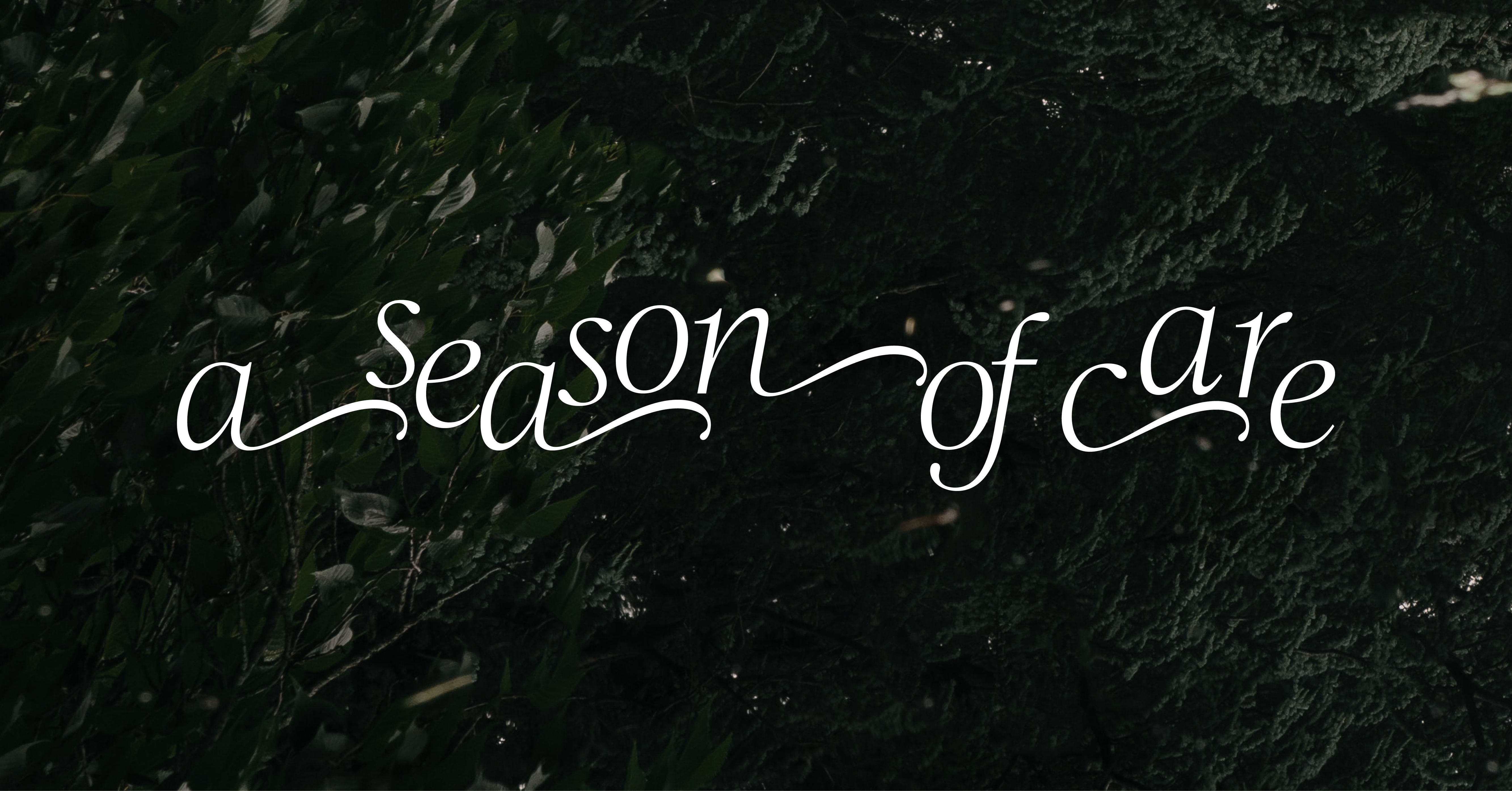 A Season of Care
