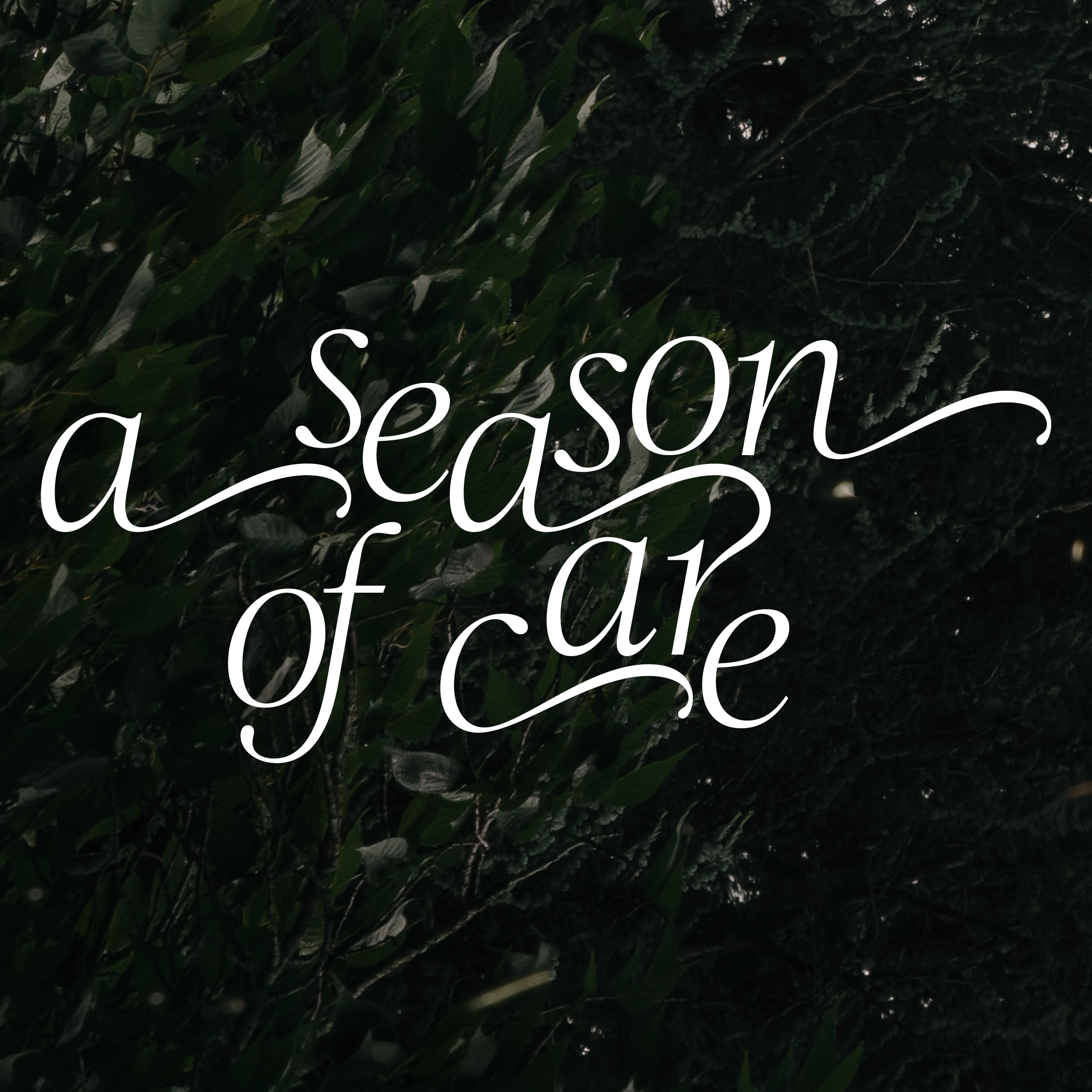 A Season of Care